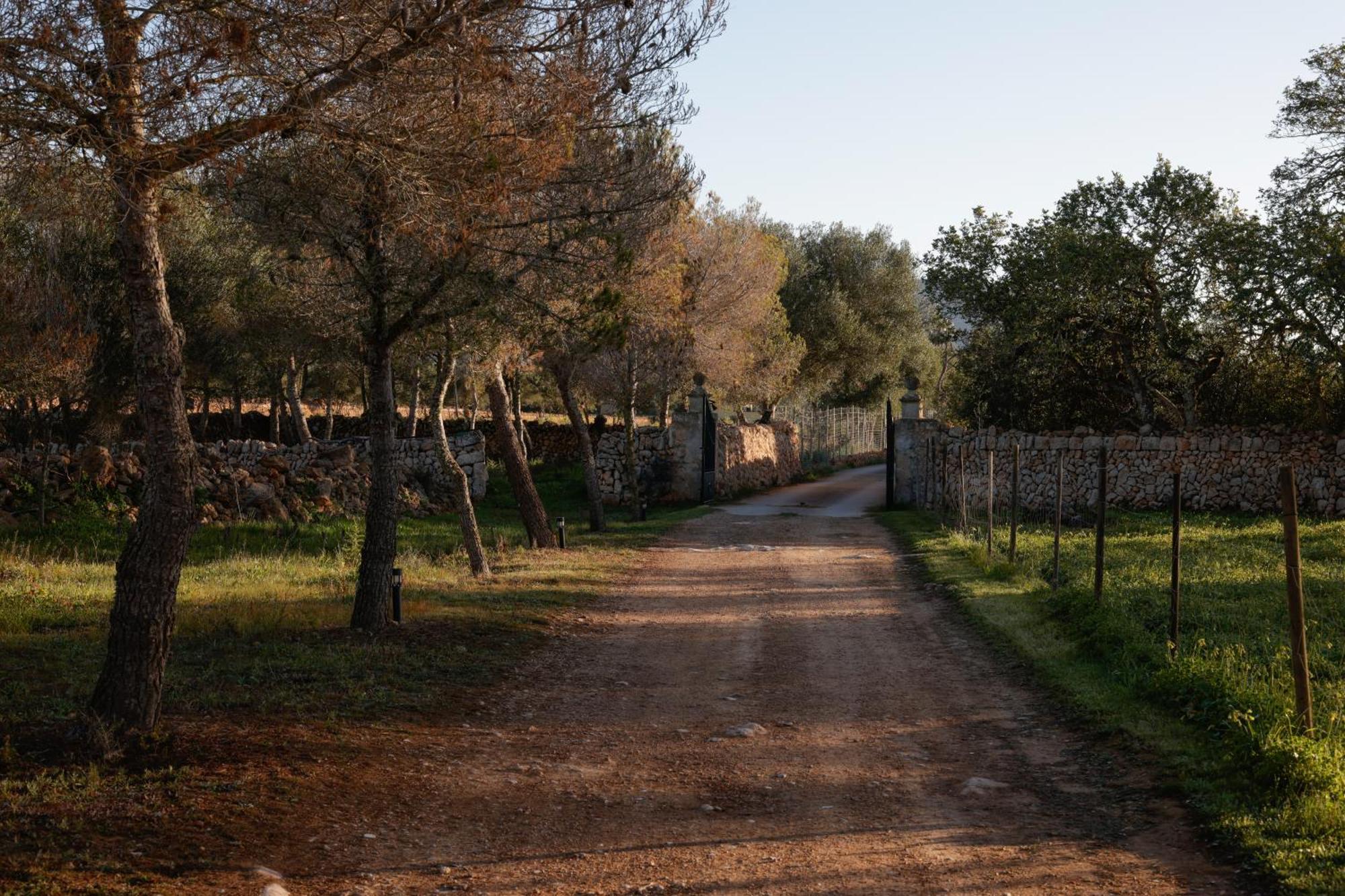 Agroturismo Finca Son Pieras Llucmajor  Esterno foto